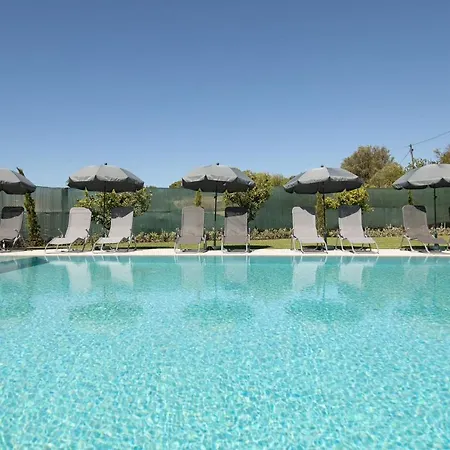 Apartment O Pinhal Do Avo - By Bedzy *