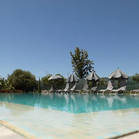 O Pinhal Do Avo - By Bedzy *