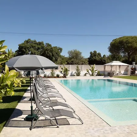 O Pinhal Do Avo - By Bedzy Apartment *
