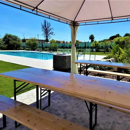 O Pinhal Do Avo - By Bedzy Apartment